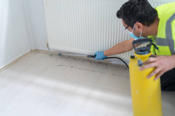 Best Emergency Pest Control  in Peosta, IA